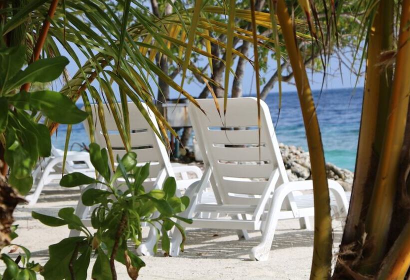 پانسیون Ocean Beach Inn Maldives