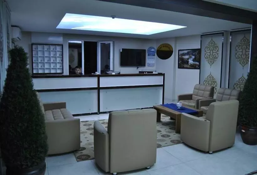 ホテル Grand Hekimoglu