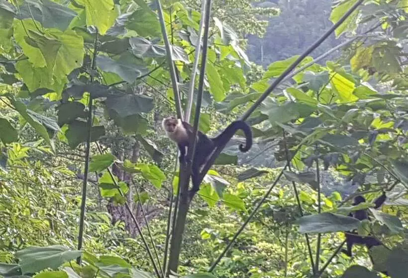 Hotelli Paraíso Escondido