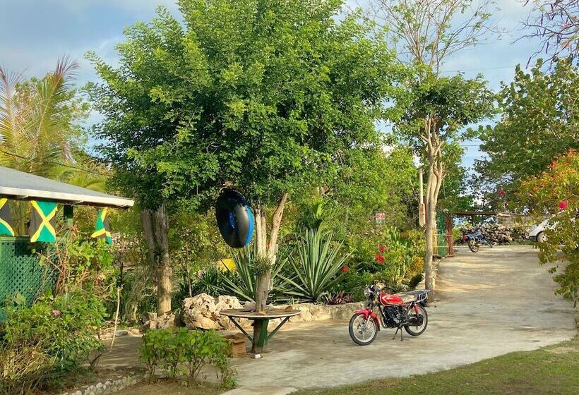 Judy House Backpacker Hostel