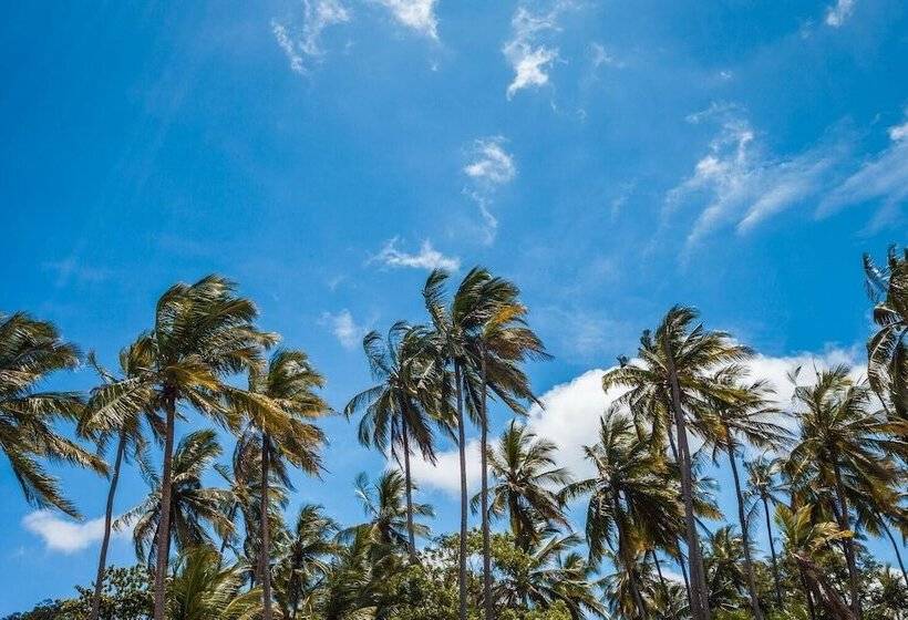 پانسیون Capricorn Beach Cottages