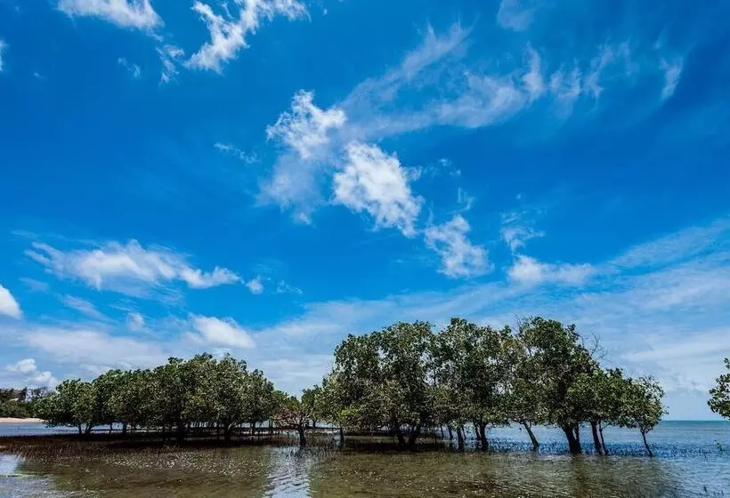 پانسیون Capricorn Beach Cottages