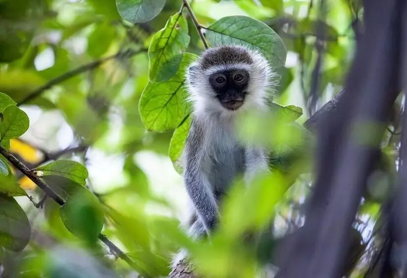 پانسیون Capricorn Beach Cottages