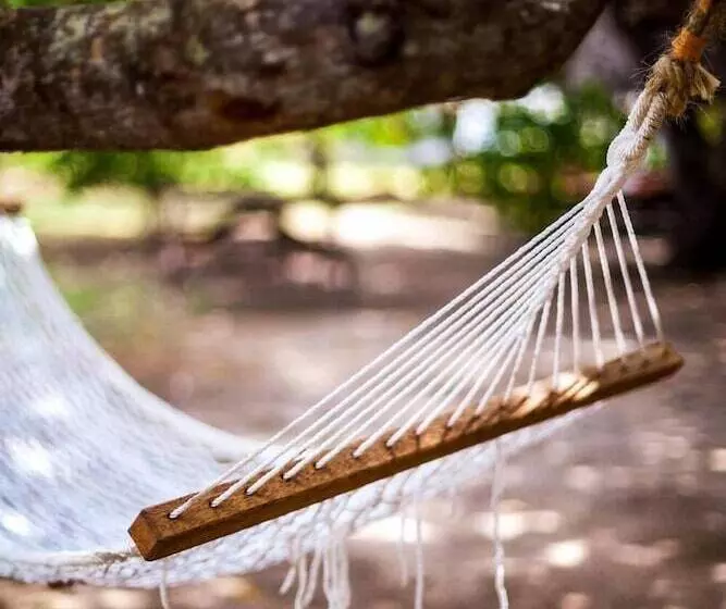 پانسیون Capricorn Beach Cottages