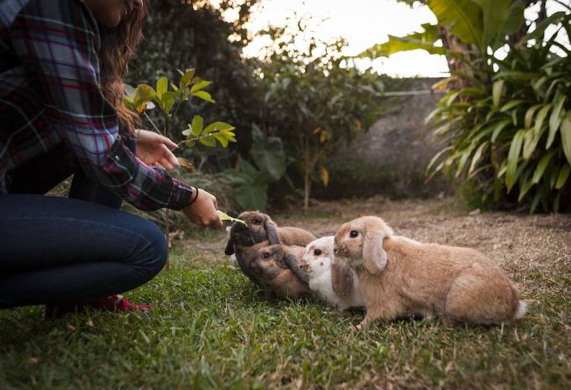 پانسیون Casa Aura Boutique