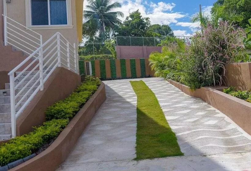 Tropical Luxury Dreams