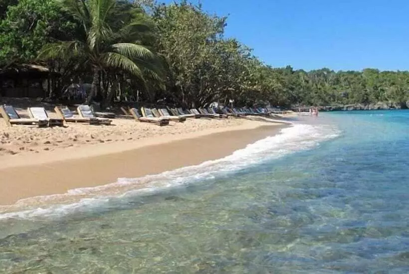 Tropical Luxury Dreams