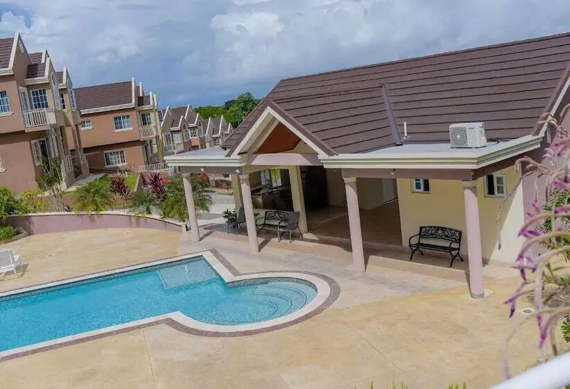 Tropical Luxury Dreams