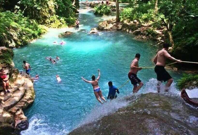 Tropical Luxury Dreams