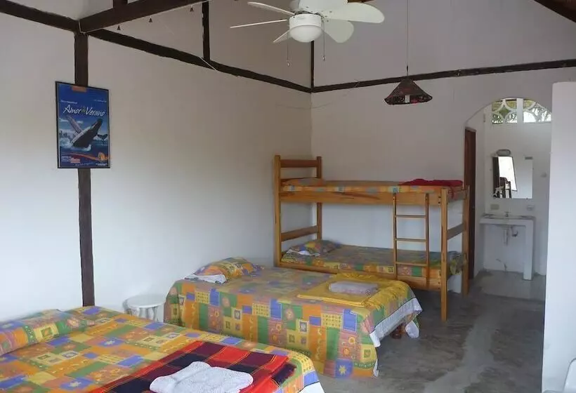 ユースホステル Angauel Inn