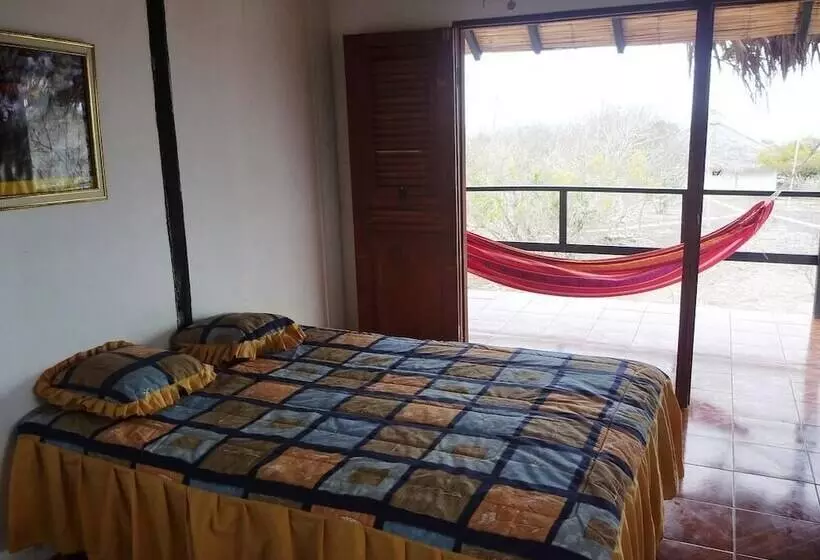 ユースホステル Angauel Inn