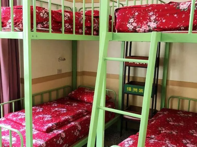 هاستل Hodua Guest House