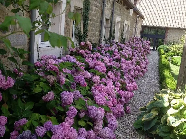 Appart Hotel Le Canville