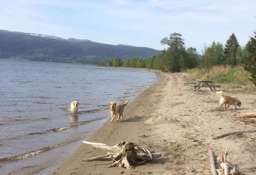 Aamiaismajoitus (B&B) Grana Bryggeri