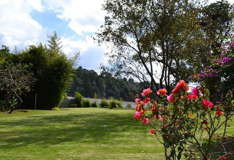 호텔 Boutique El Campirano