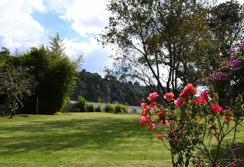 ホテル Boutique El Campirano