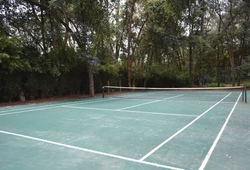 ホテル Boutique El Campirano