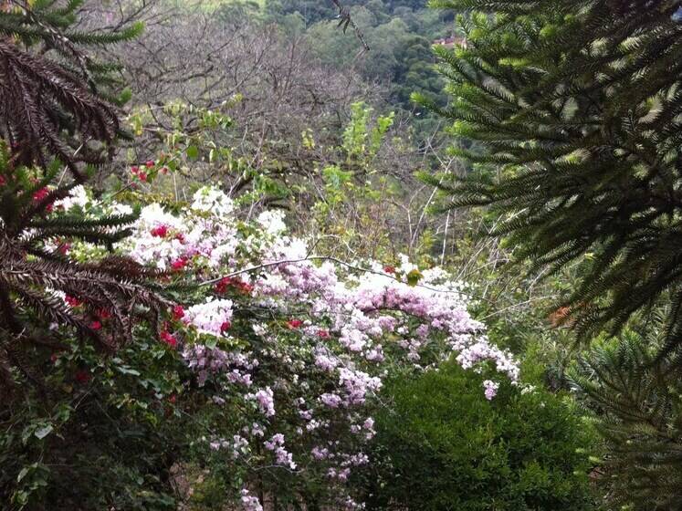 酒店 Casa Fazenda Inglesa