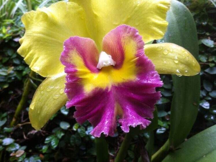 酒店 Casa Fazenda Inglesa