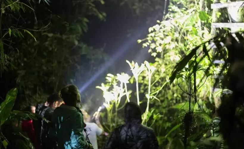 ホテル El Edén Treehouse