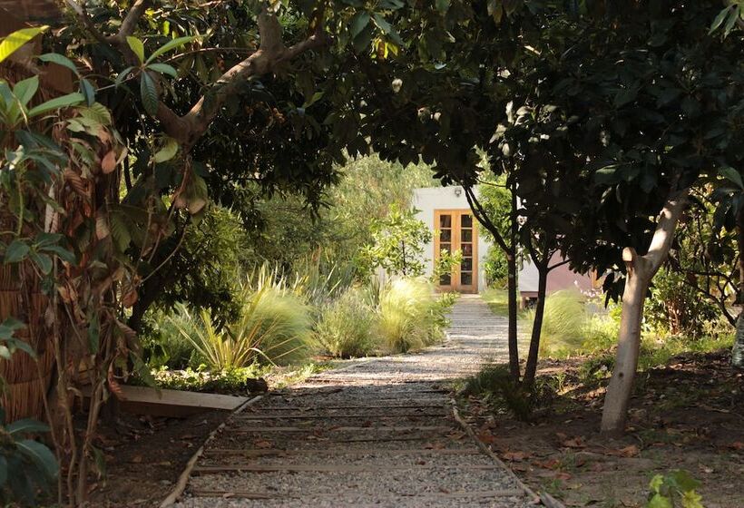 هتل Organica Lodge Spa