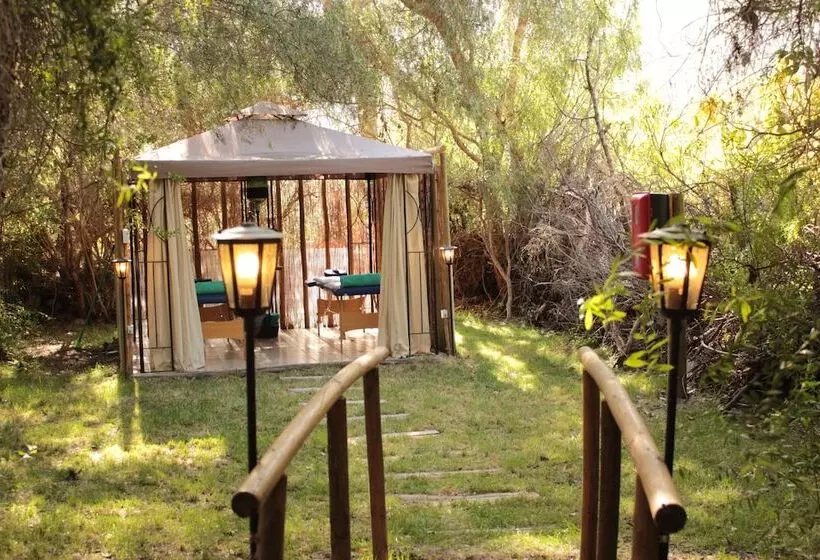 ホテル Organica Lodge Spa