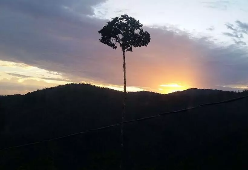 ホテル Rústico Montañas Del Pacuare Costa Rica