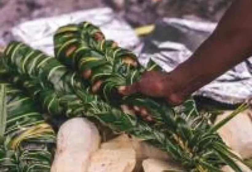 Hotelli Safe Landing Ecolodge