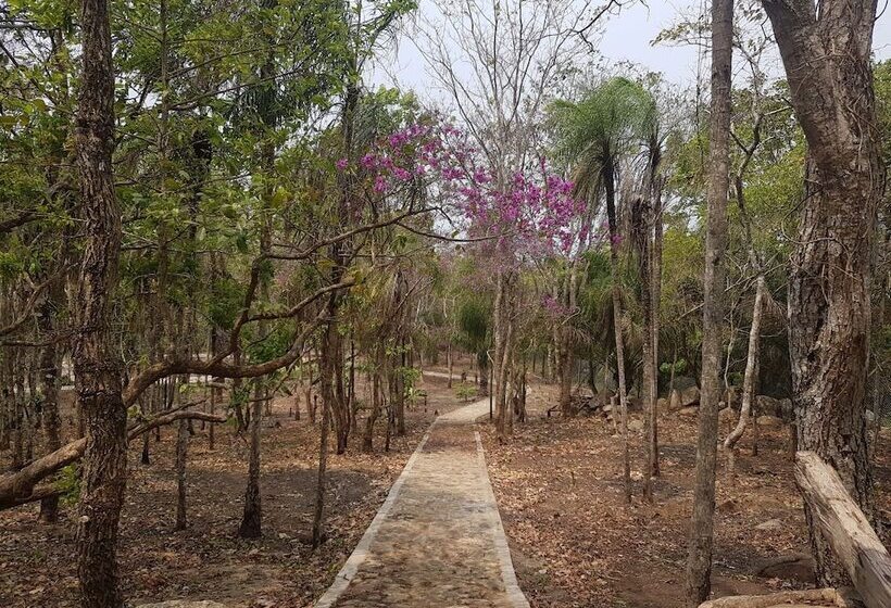 هتل San Xavier Quinta Eco Resort