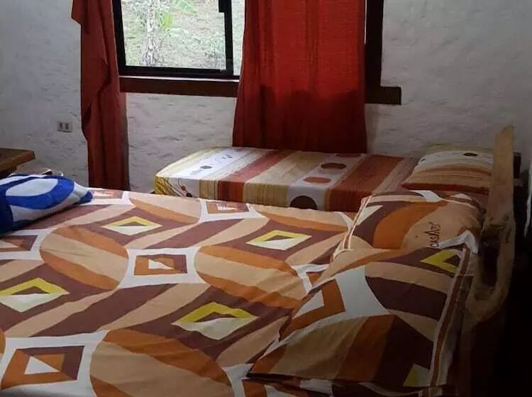 هتل San Xavier Quinta Eco Resort