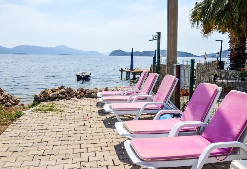 בית מלון כפרי Sogut Ada Pansiyon