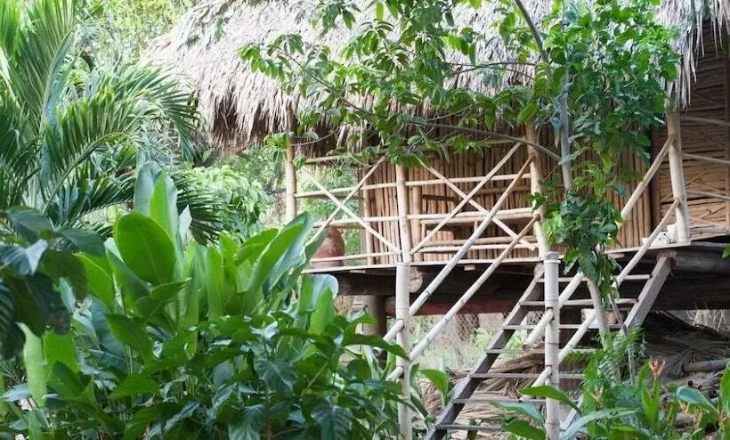 La Barca De Oro   Hostel