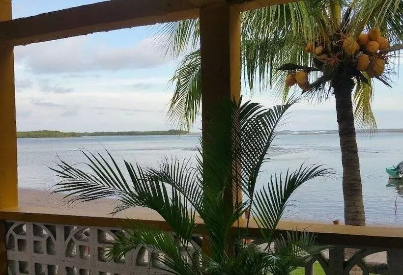 La Barca De Oro   Hostel