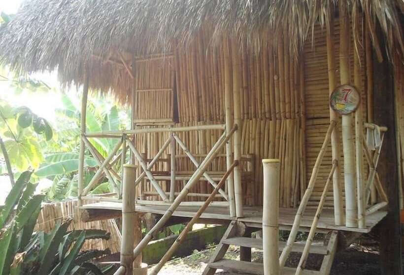 La Barca De Oro   Hostel