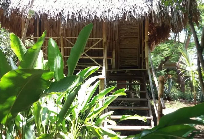 La Barca De Oro   Hostel