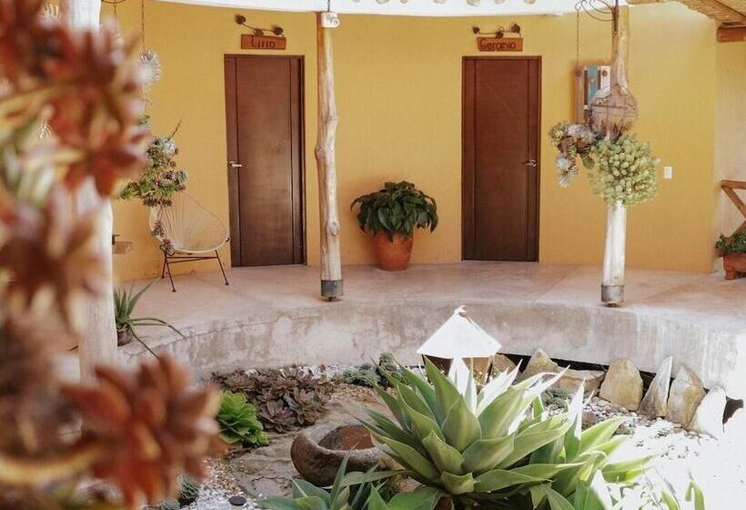 Monte Gracia Wellness Hotel & Spa   Adults Only