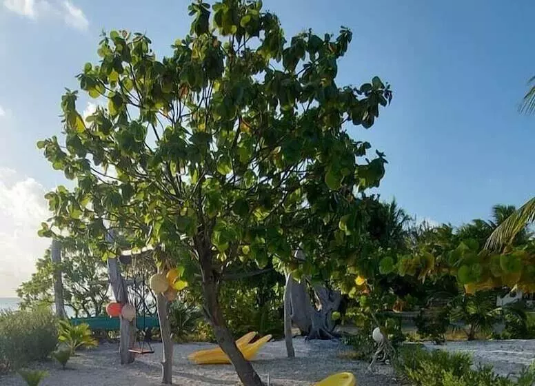 Rangiroa Tiputa Lodge B&b