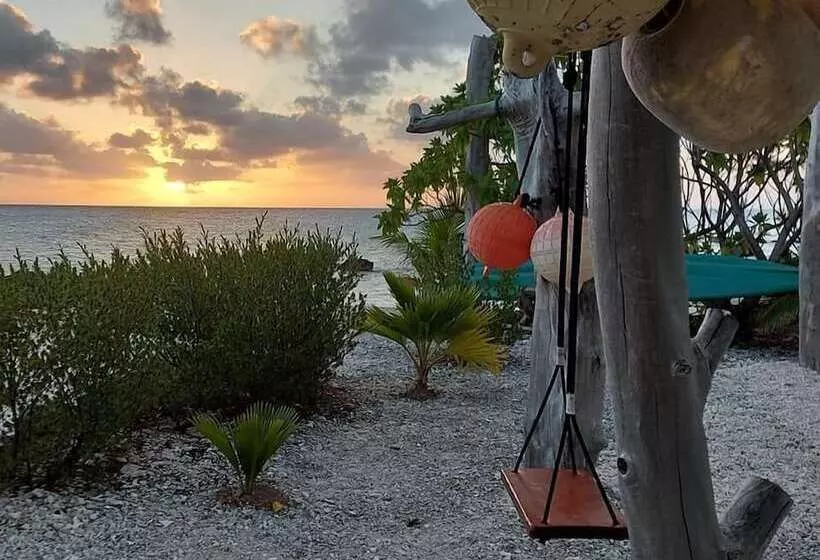 Rangiroa Tiputa Lodge B&b