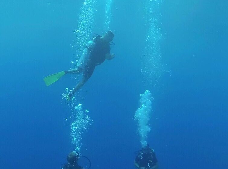 Rangiroa Tiputa Lodge B&b
