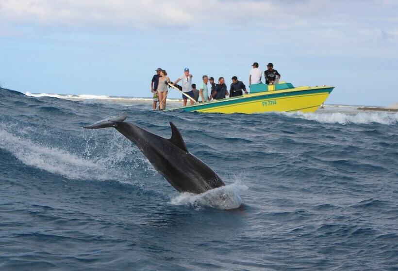 Rangiroa Tiputa Lodge B&b