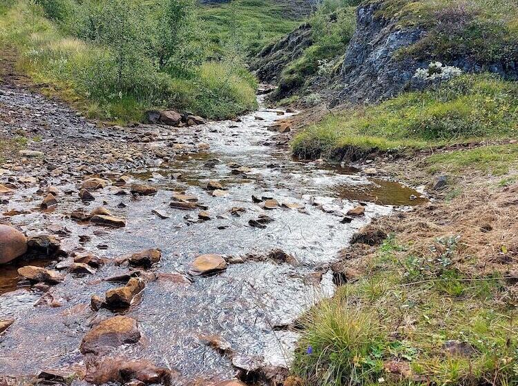 ásgeirsstaðir Cottages