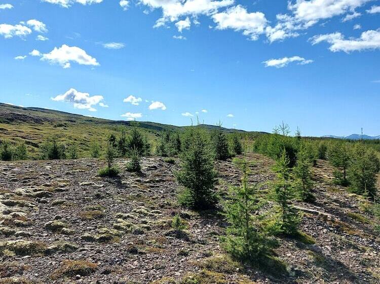 ásgeirsstaðir Cottages