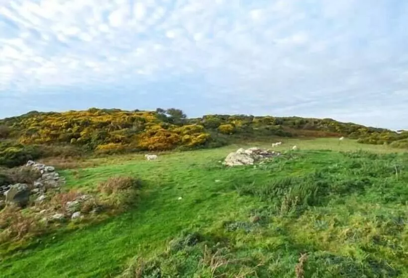 Ysgubor Newydd