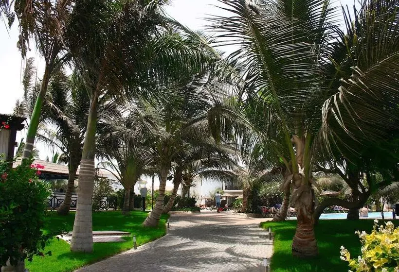 Ajp Holidays   Tortuga Beach Resort 487