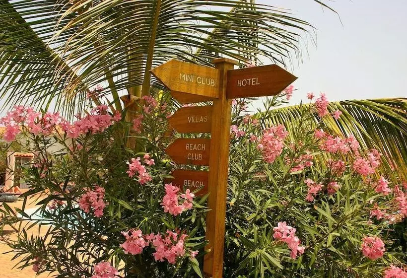Ajp Holidays   Tortuga Beach Resort 487