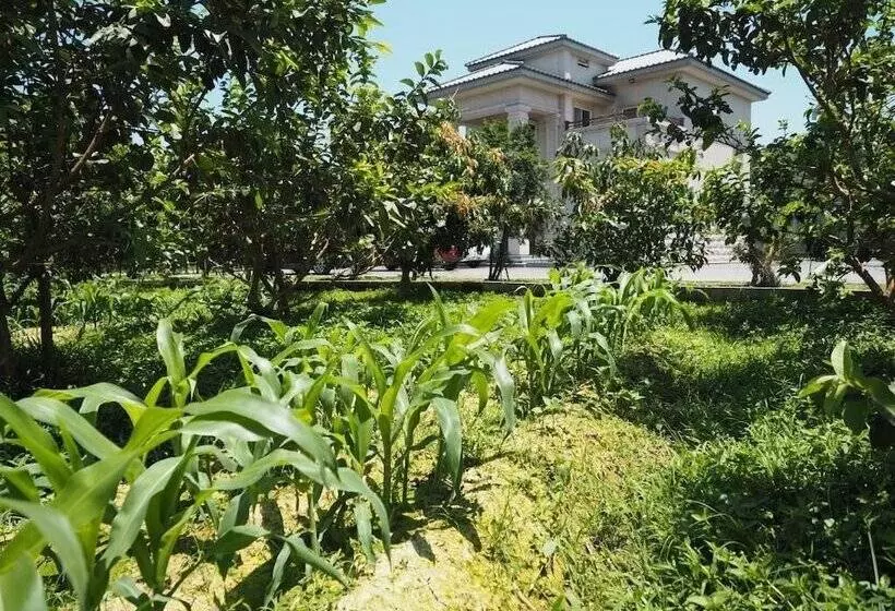 تختخواب و صبحانه Green Island Guest House