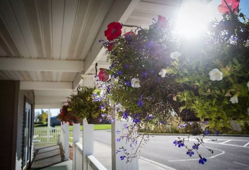 Hotelli Chisholm Inn & Suites