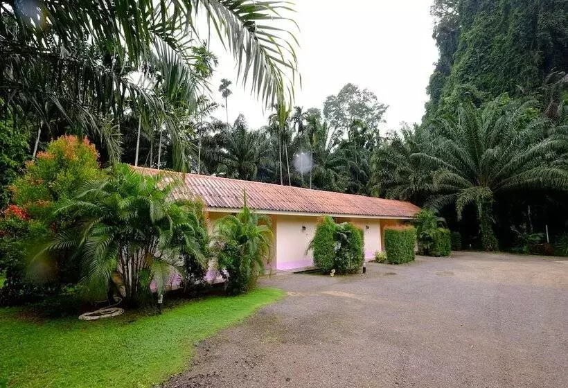 ホテル Parattha Resort