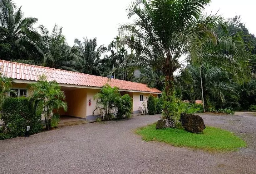 ホテル Parattha Resort