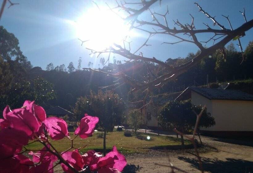 Отель Pousada Estação Das Flores